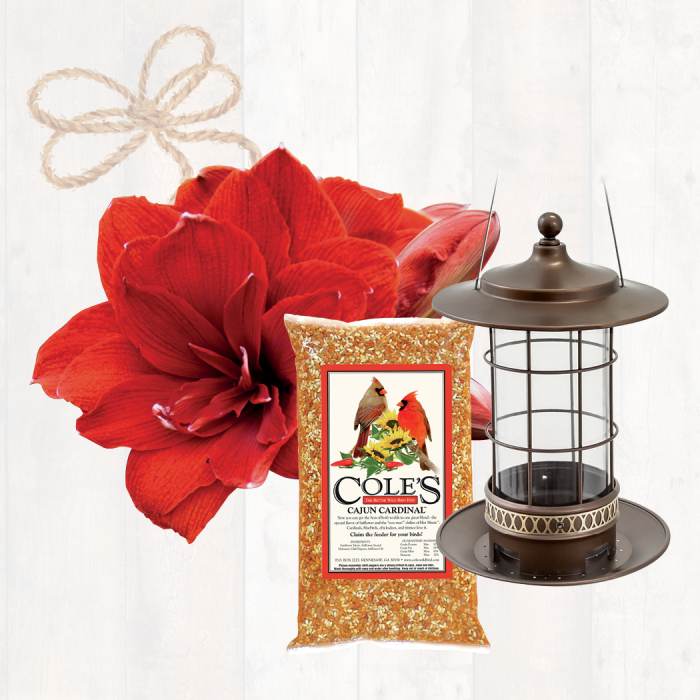 Cardinal Feeder Gift Box