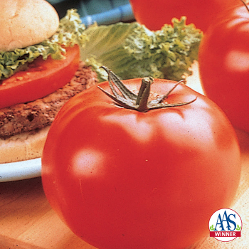 Product Image of Tomato, Big Beef Hybrid 