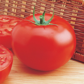Delicious Hybrid Tomato