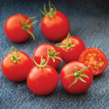 42 Days Tomato