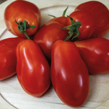 Product Image of Tomato, Martino's Roma 