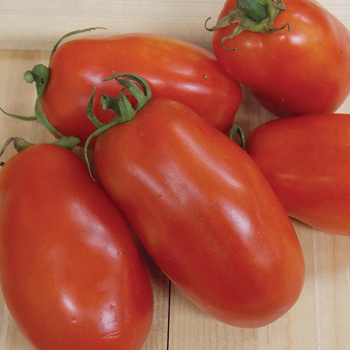 Tomato, San Marzano