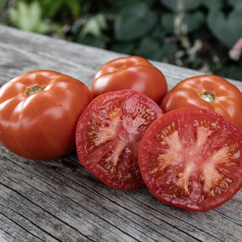 Tomato, Wisconsin 55