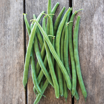 Product Image of Bean, Bush, Jade 