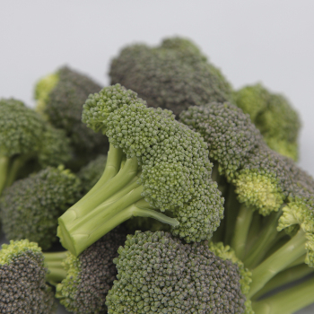 Monflor Broccoli
