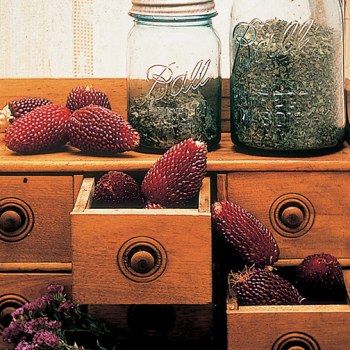 Product Image of Popcorn, Strawberry 