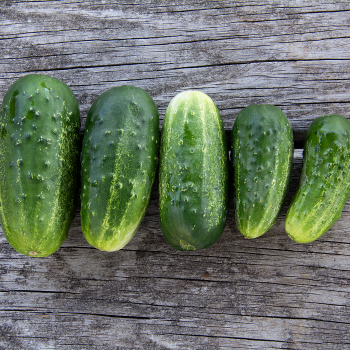 Cucumber, Homemade Pickles Cucumber, Homemade Pickles