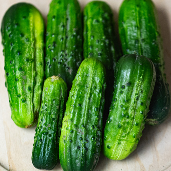 Product Image of Cucumber, El Camino Hybrid