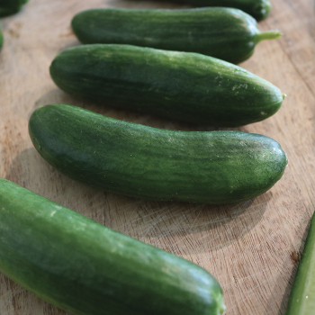 Product Image of Cucumber, Easy Snack Hybrid 