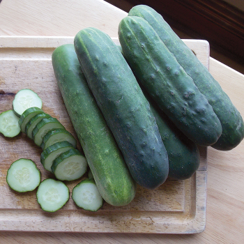 Cucumber, Straight Eight Cucumber, Straight Eight