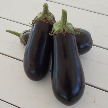 Product Image of Eggplant, Epic Hybrid