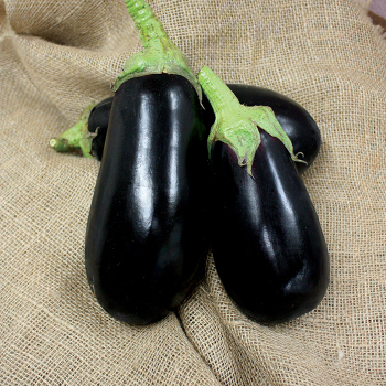 Nadia Hybrid Eggplant