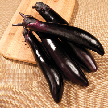 Eggplant, Shikou Hybrid