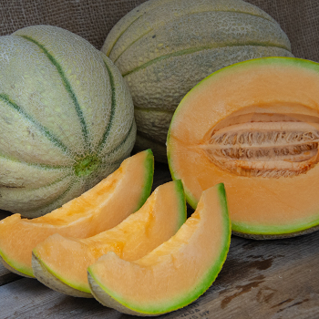 Melon, Carousel Hybrid