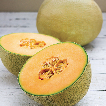 Melon, Infinite Gold Hybrid