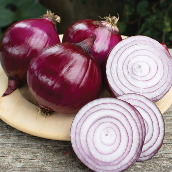 Product Image of Onion, Redwing Hybrid