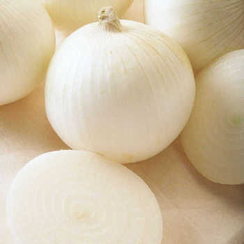 Sierra Blanca Hybrid Onion