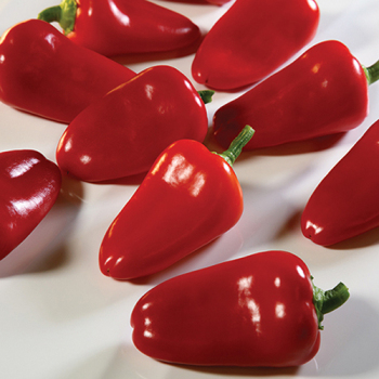 Product Image of Pepper, Sweet, Delite® Ruby Hybrid