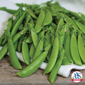 Product Image of Pea, Sugar Ann 