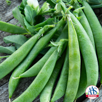 Product Image of Pea, Snak Hero 
