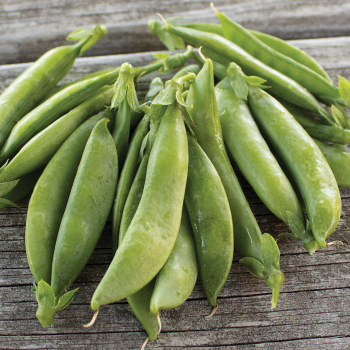 Product Image of Pea, Tender Sweet 