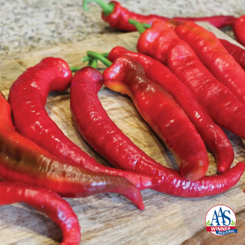 Pepper, Wildcat Hybrid