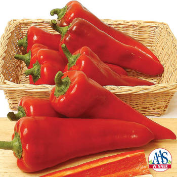 Product Image of Pepper, Sweet, Carmen Hybrid Organic