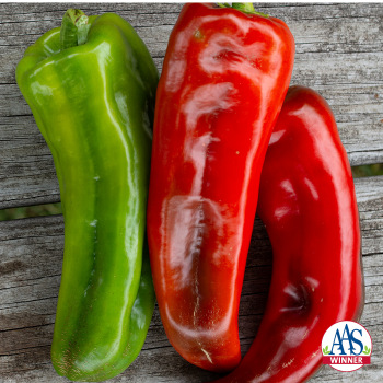 Product Image of Pepper, Sweet, Giant Marconi Hybrid 