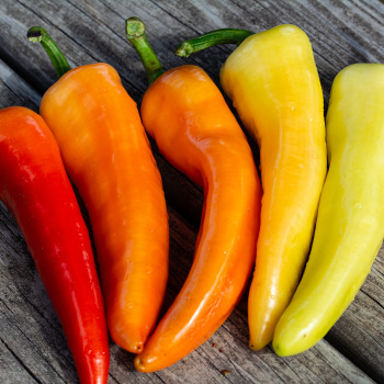 Product Image of Pepper, Sweet, Sweet Banana 