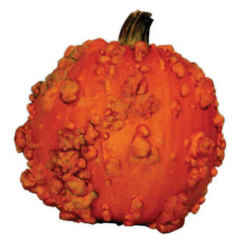 Goosebumps II Super Freak™ Pumpkin
