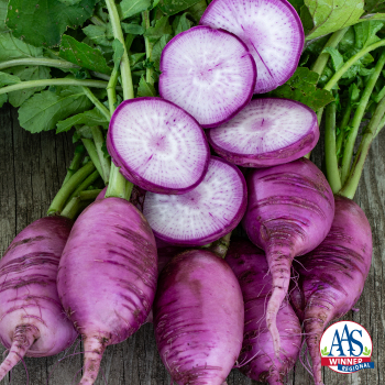 Radish, Sweet Baby Hybrid