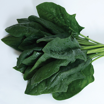 Spinach, Imperial Valley Hybrid