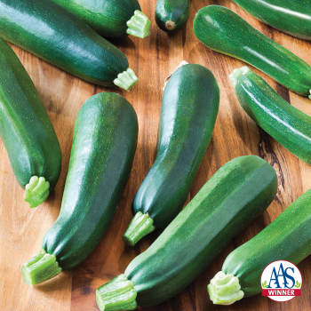 Squash, Summer, Black Beauty Zucchini Squash, Summer, Black Beauty Zucchini