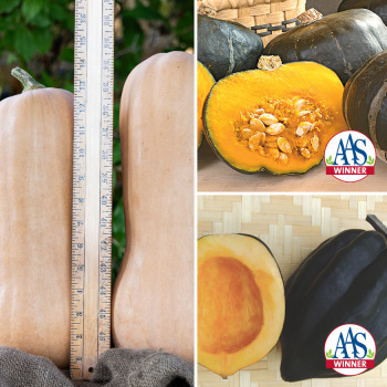 Winter Squash Sampler