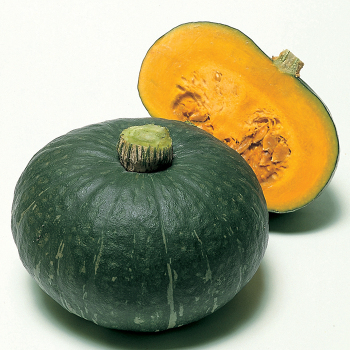 Sweet Mama Hybrid Winter Squash