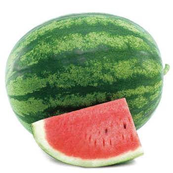 Solitaire Hybrid Seedless Watermelon