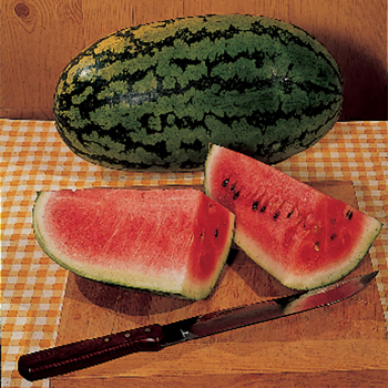 Sweet Fashion Hybrid Watermelon