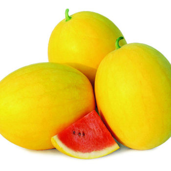 Watermelon, Golden Crown Hybrid