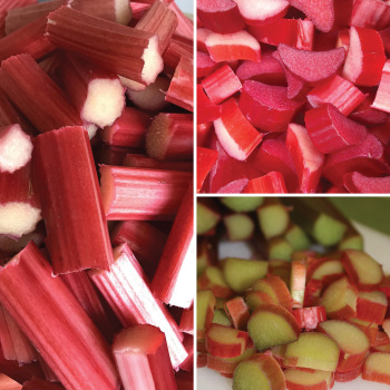 Rhubarb Sampler Rhubarb Sampler
