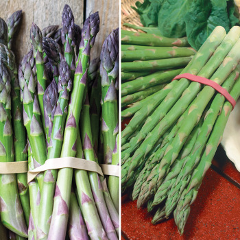 Product Image of Asparagus, Offer #2