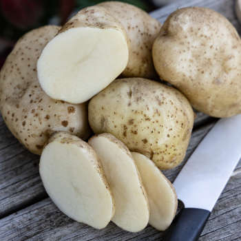 Product Image of Potato, Kennebec