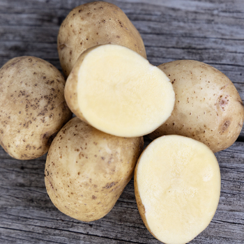 Potato, Yukon Gold