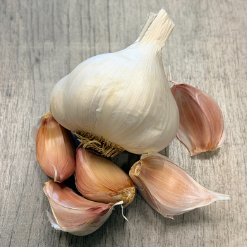Garlic Nootka Rose