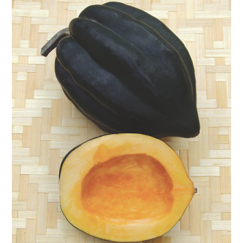 Organic Table King Squash