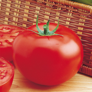 Organic Delicious Tomato