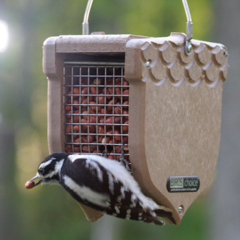 Bird and Insect Feeders/Houses