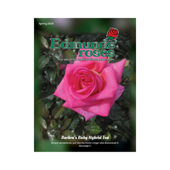 Spring 2026 Edmunds' Roses Catalog