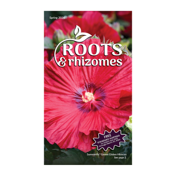 Spring 2026 Roots & Rhizomes Catalog