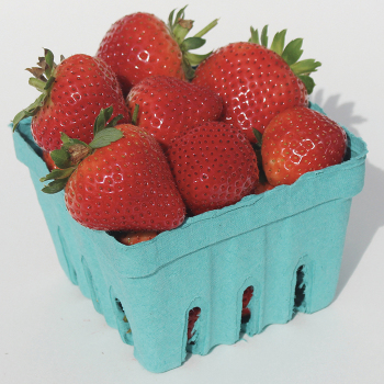 Strawberry, Day-Neutral, Evie-2, 25 plants Strawberry, Day-Neutral, Evie-2, 25 plants