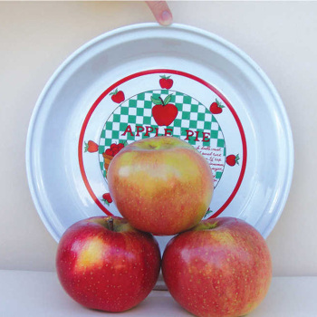 Wolf River Semi Dwarf Apple